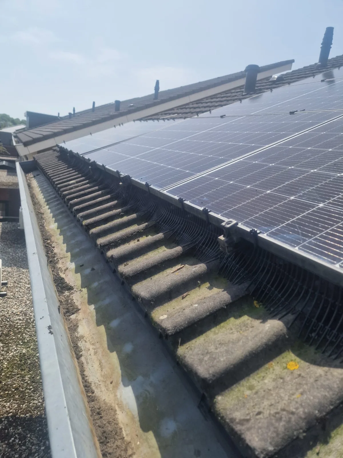 Vogelwering aangebracht onder de zonnepanelen op een pannendak